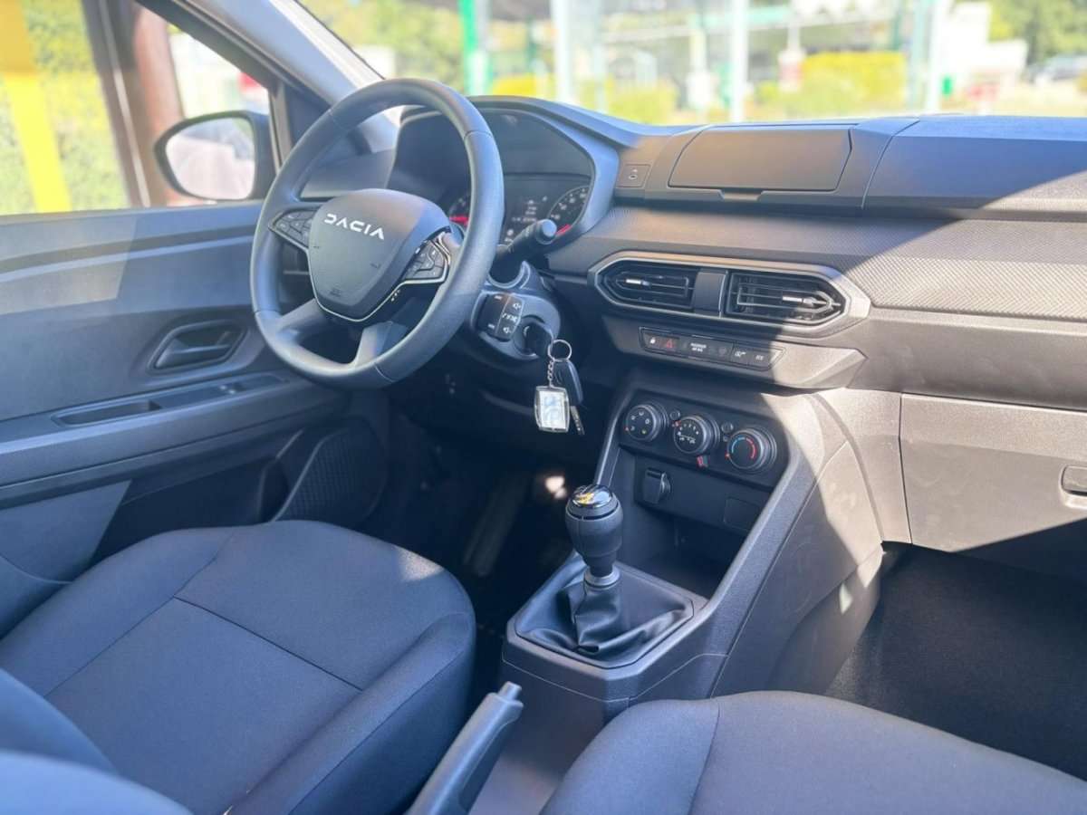 Fahrzeugbild eines Dacia Sandero