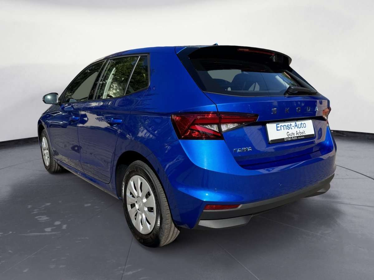 Fahrzeugbild eines Skoda Fabia