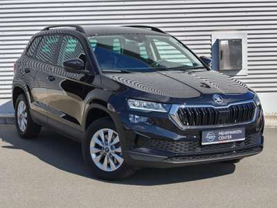 Bild Skoda Karoq