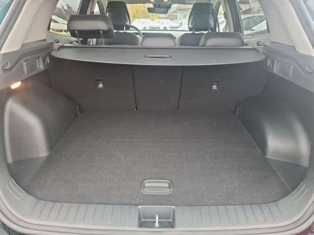 Fahrzeugbild eines Kia Sportage