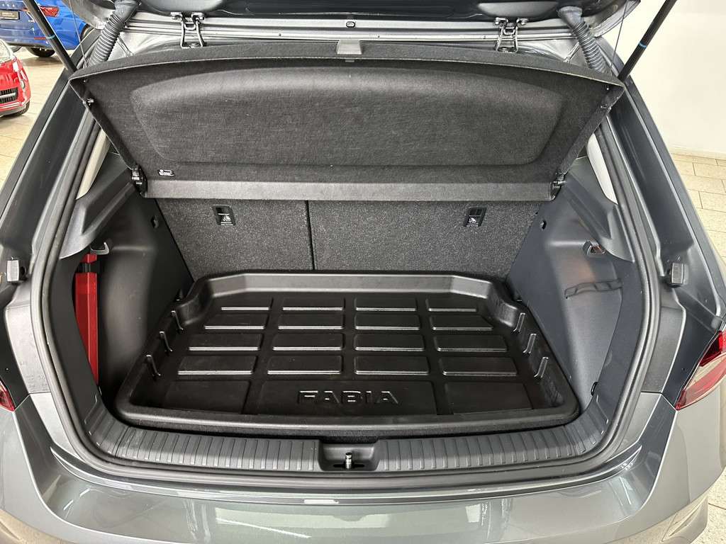 Fahrzeugbild eines Skoda Fabia