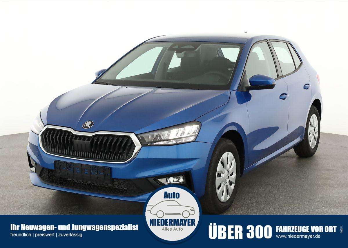 Fahrzeugbild eines Skoda Fabia