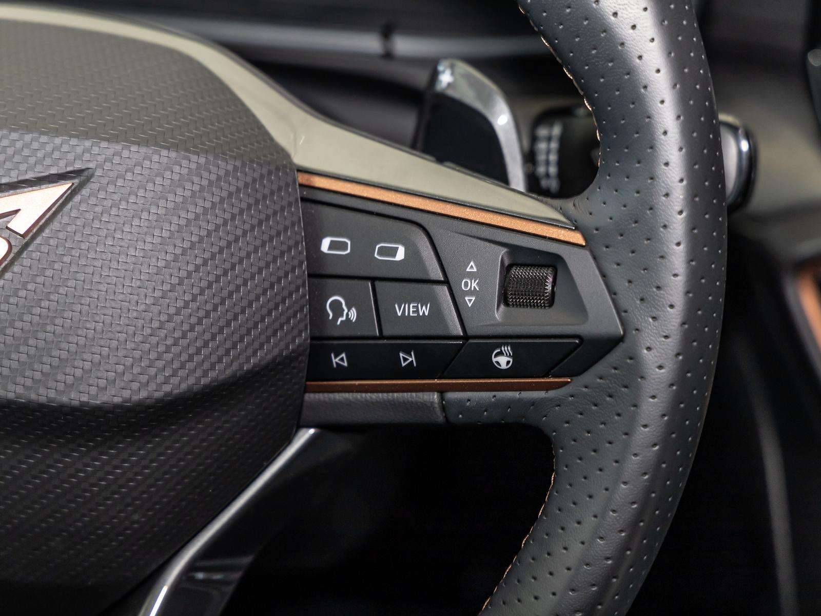 Fahrzeugbild eines CUPRA Leon
