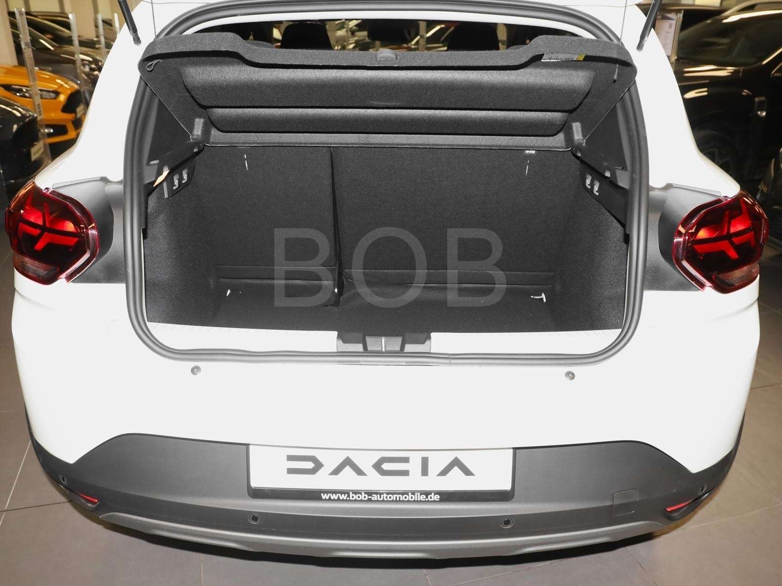 Fahrzeugbild eines Dacia Sandero