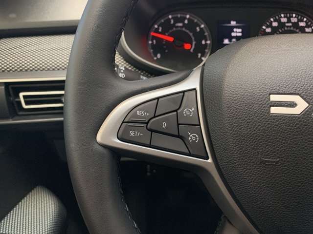 Fahrzeugbild eines Dacia Sandero