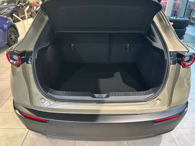 Fahrzeugbild eines Mazda CX-30