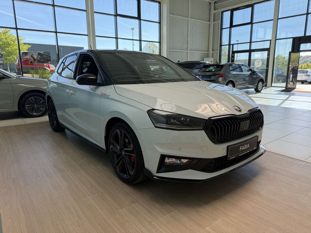 Fahrzeugbild eines Skoda Fabia