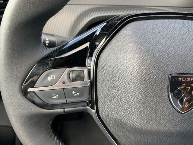 Fahrzeugbild eines Peugeot 2008