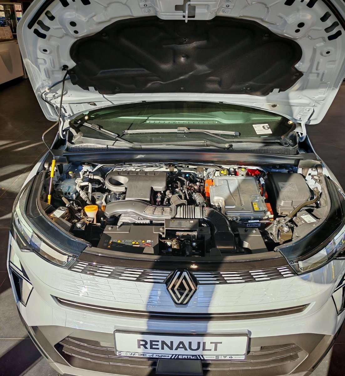 Fahrzeugbild eines Renault Symbioz