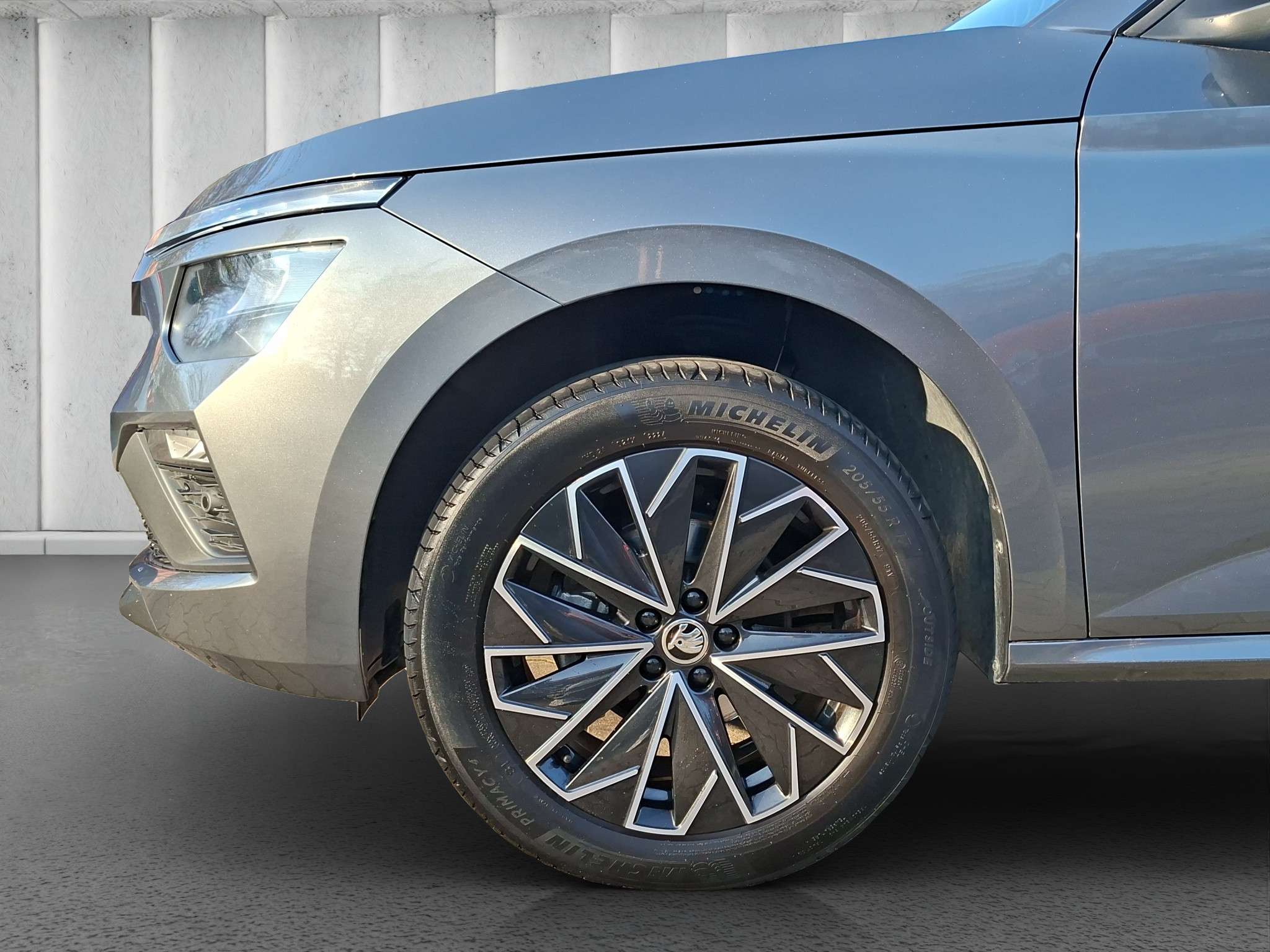 Fahrzeugbild eines Skoda Kamiq