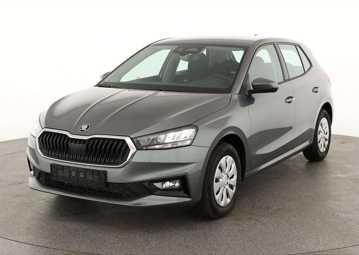 Fahrzeugbild eines Skoda Fabia