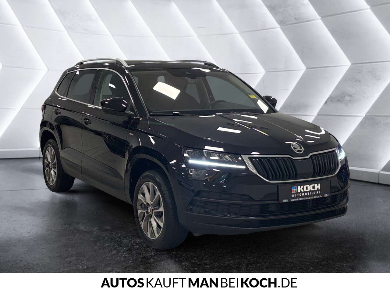 Fahrzeugbild eines Skoda Karoq