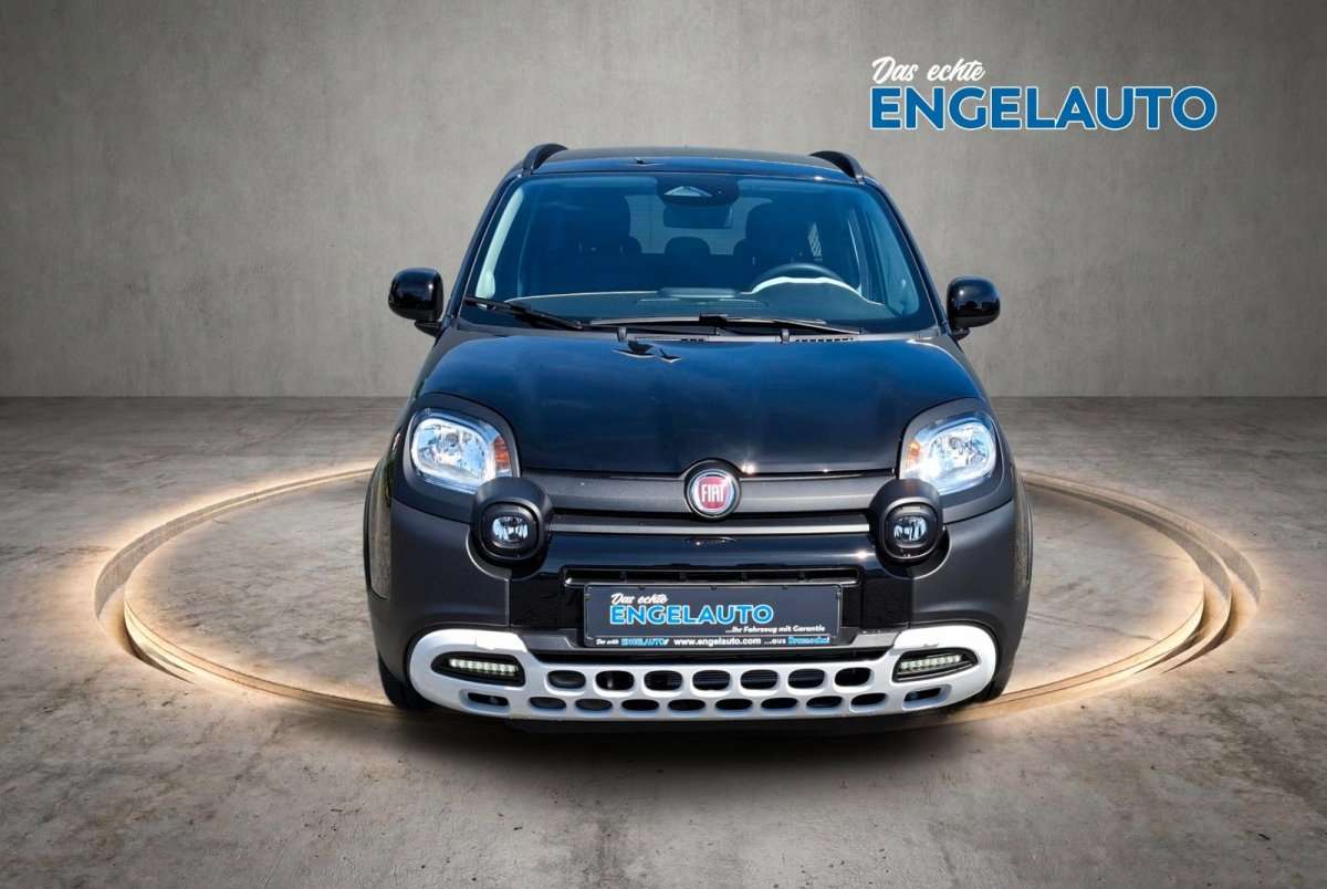 Fahrzeugbild eines Fiat Panda
