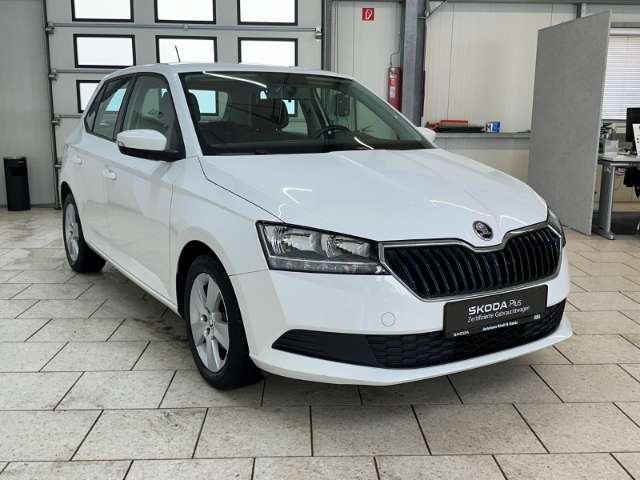 Fahrzeugbild eines Skoda Fabia