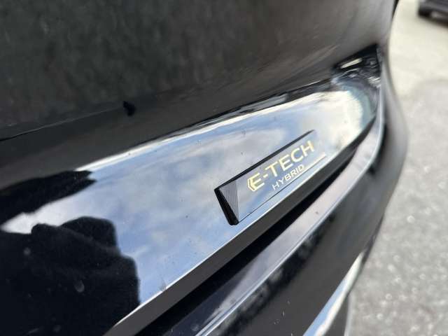 Fahrzeugbild eines Renault Rafale