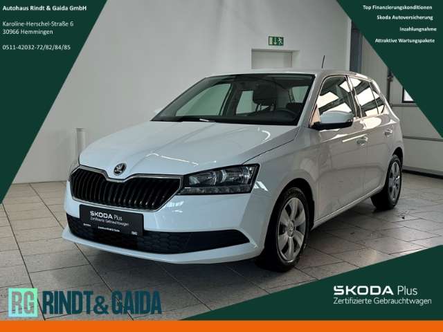 Fahrzeugbild eines Skoda Fabia