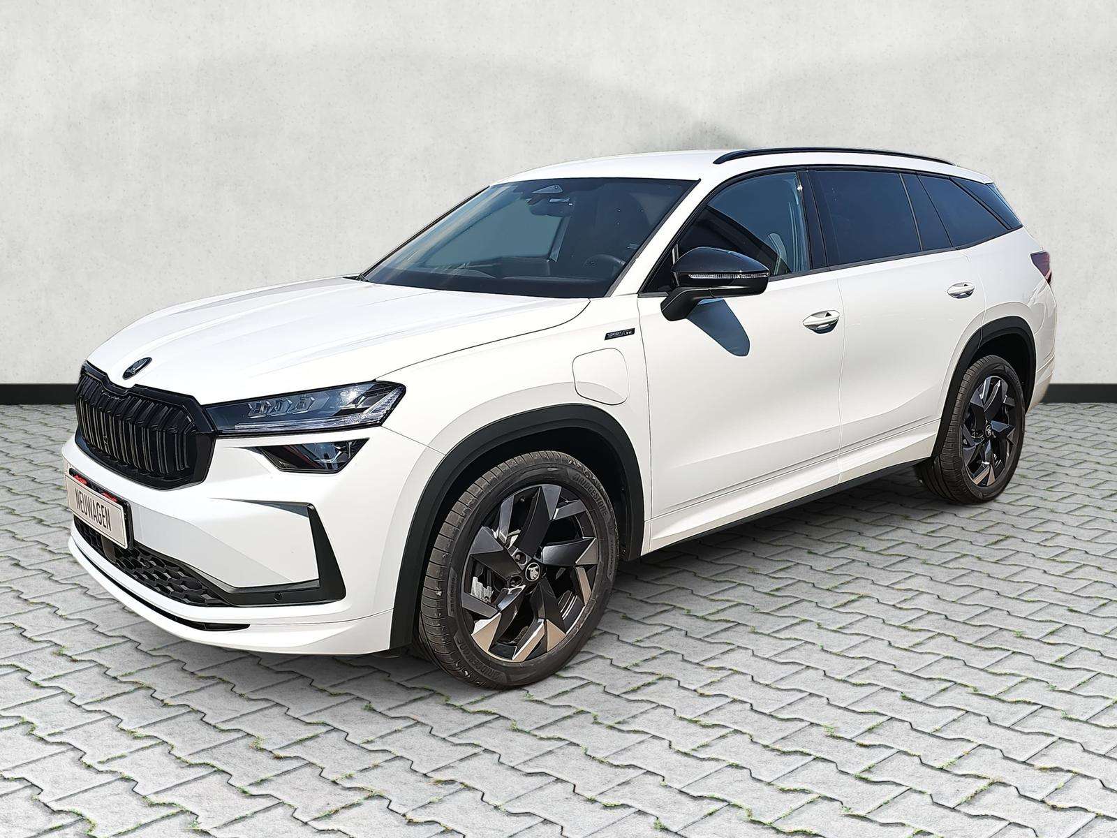 Fahrzeugbild eines Skoda Kodiaq