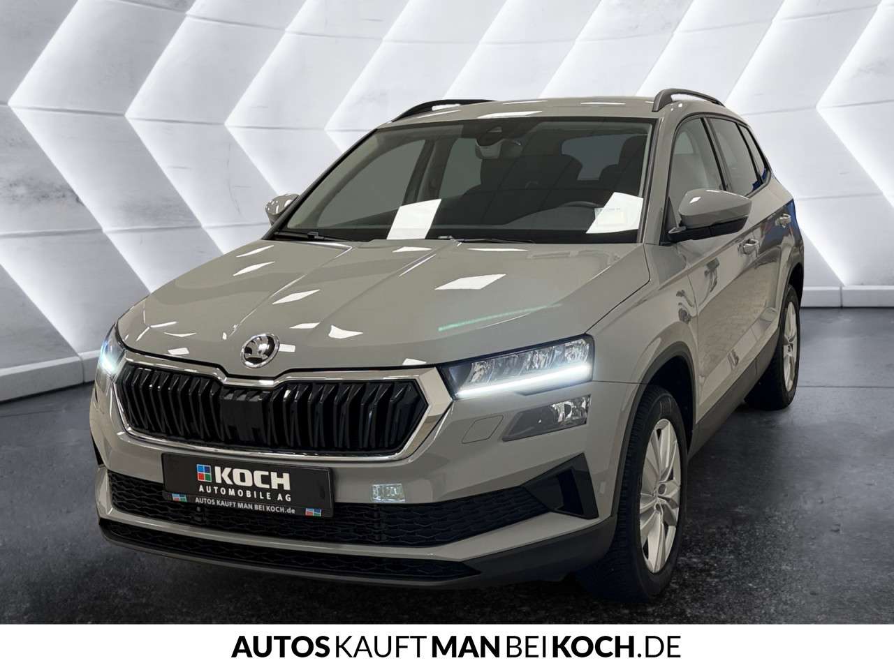 Fahrzeugbild eines Skoda Karoq