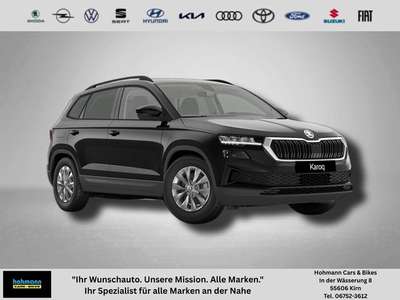 Bild Skoda Karoq