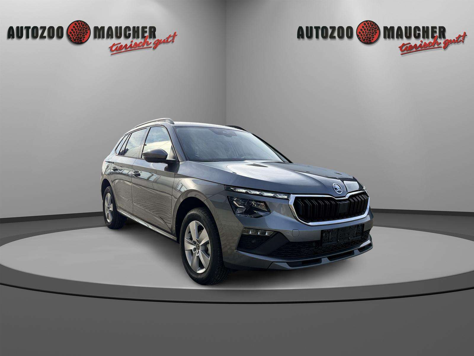 Fahrzeugbild eines Skoda Kamiq