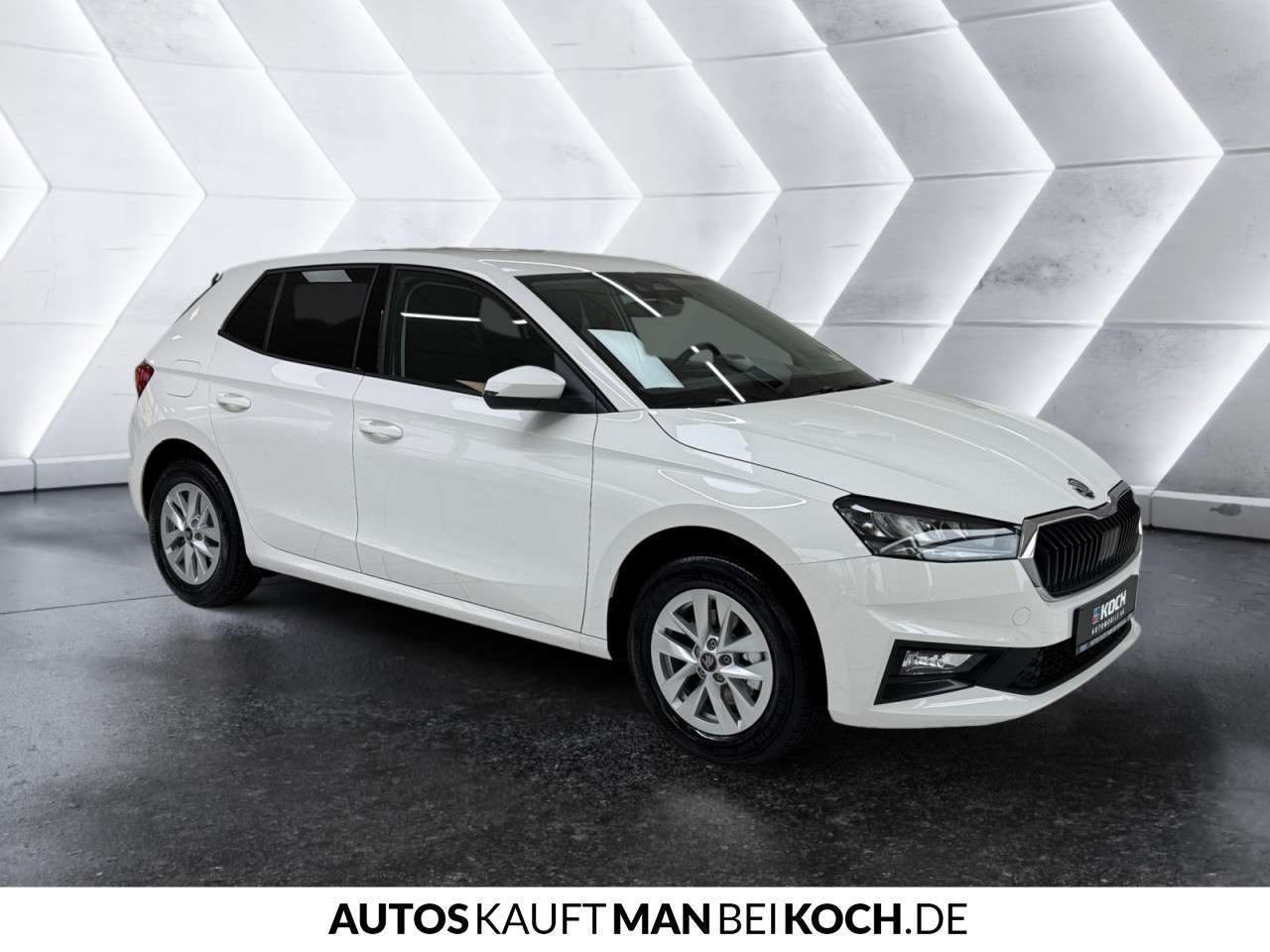 Fahrzeugbild eines Skoda Fabia
