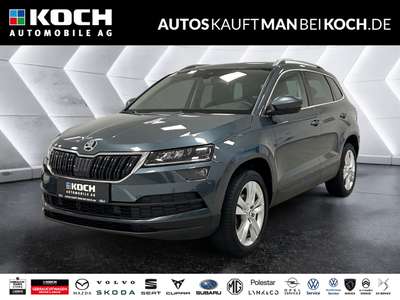 Bild Skoda Karoq