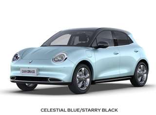 Schräge Frontansicht auf einen GWM Ora 03 , freigestellt