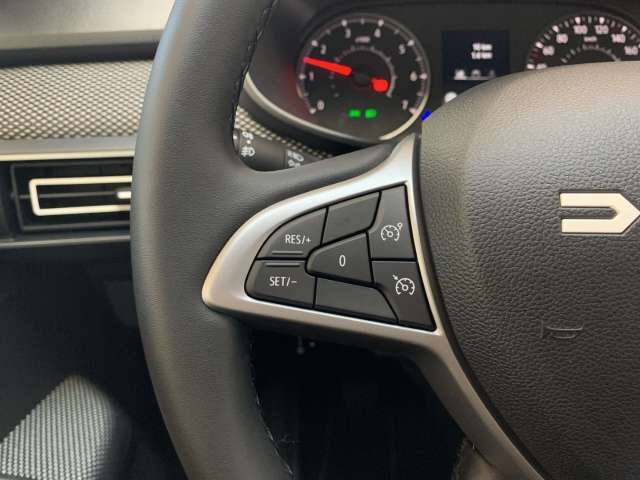 Fahrzeugbild eines Dacia Sandero