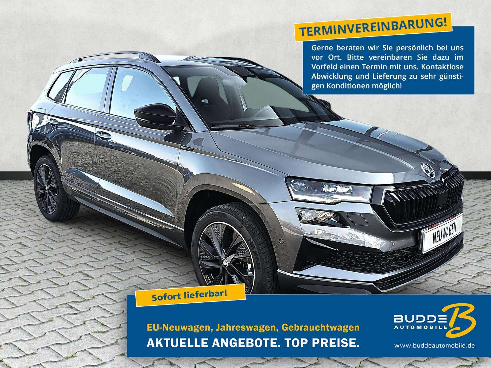 Fahrzeugbild eines Skoda Karoq