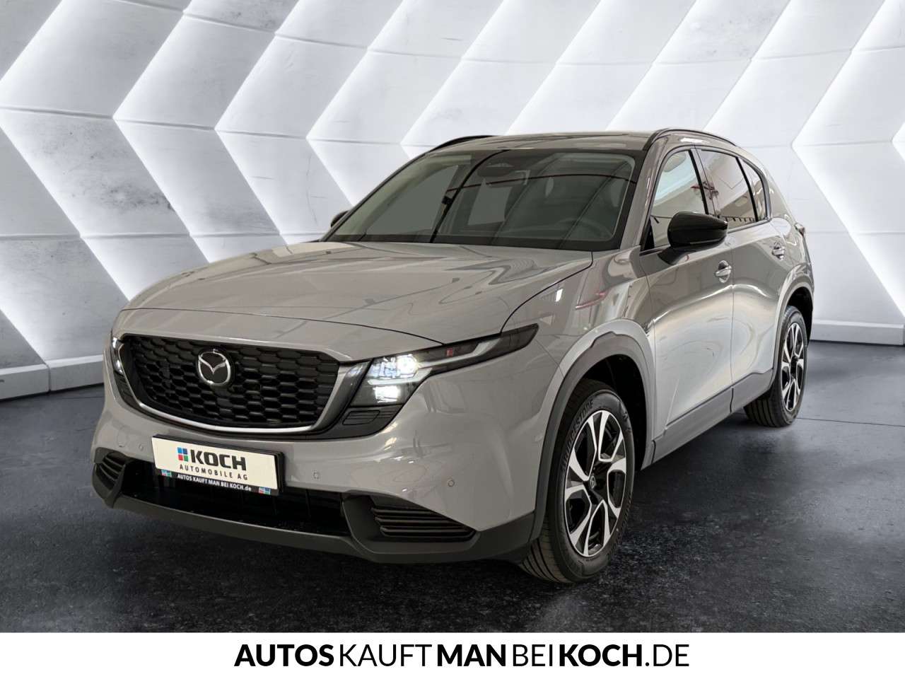 Fahrzeugbild eines Mazda Mazda2