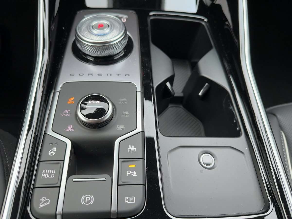 Fahrzeugbild eines Kia Sorento