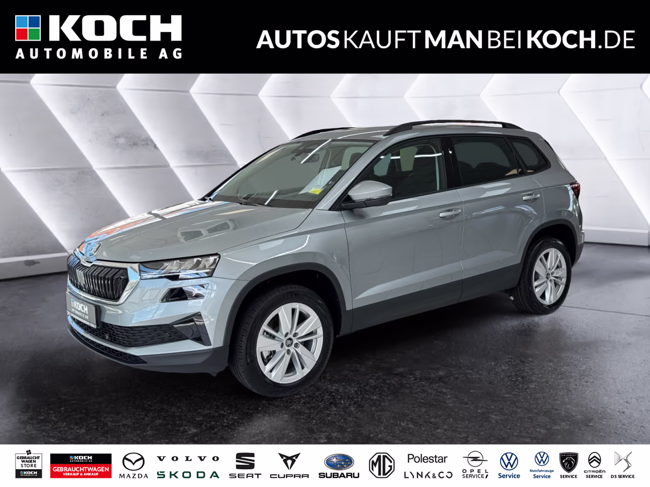 Fahrzeugbild eines Skoda Karoq