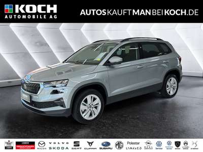 Bild Skoda Karoq