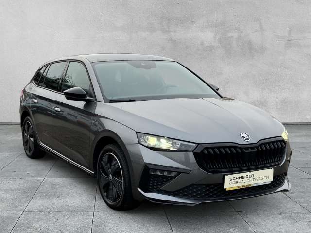 Fahrzeugbild eines Skoda Scala