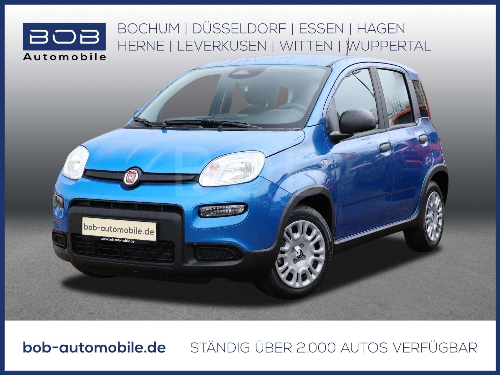 Fahrzeugbild eines Fiat Panda