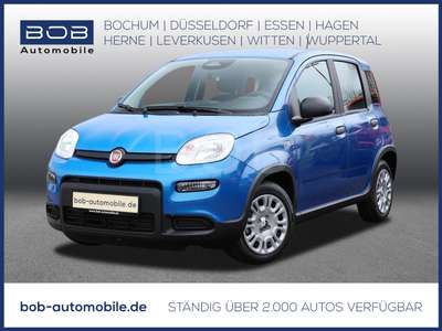 Bild Fiat Panda