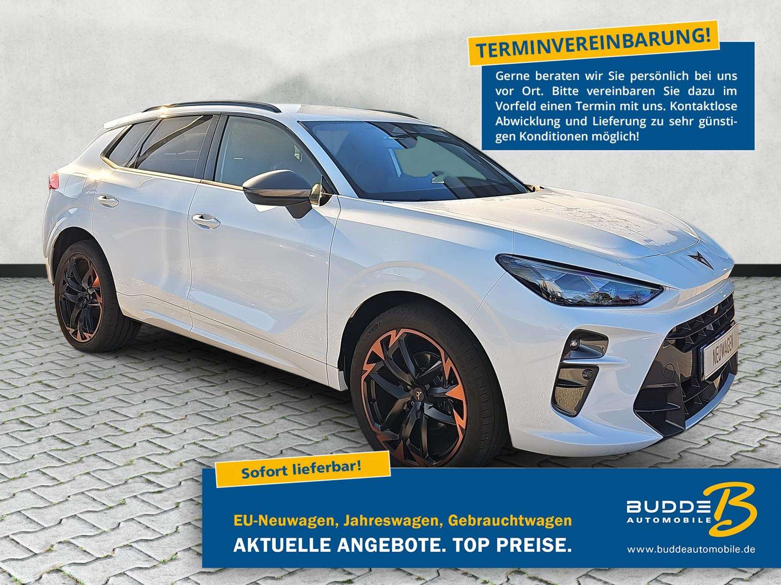 Fahrzeugbild eines CUPRA Terramar