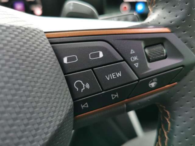 Fahrzeugbild eines CUPRA Formentor