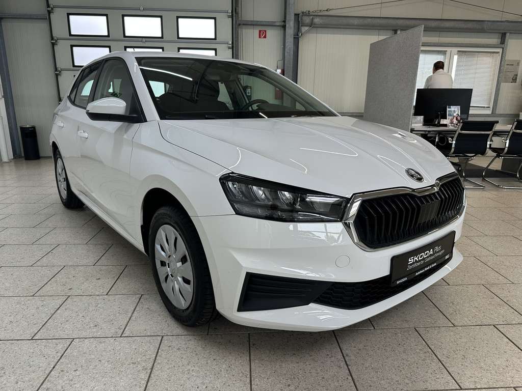 Fahrzeugbild eines Skoda Fabia