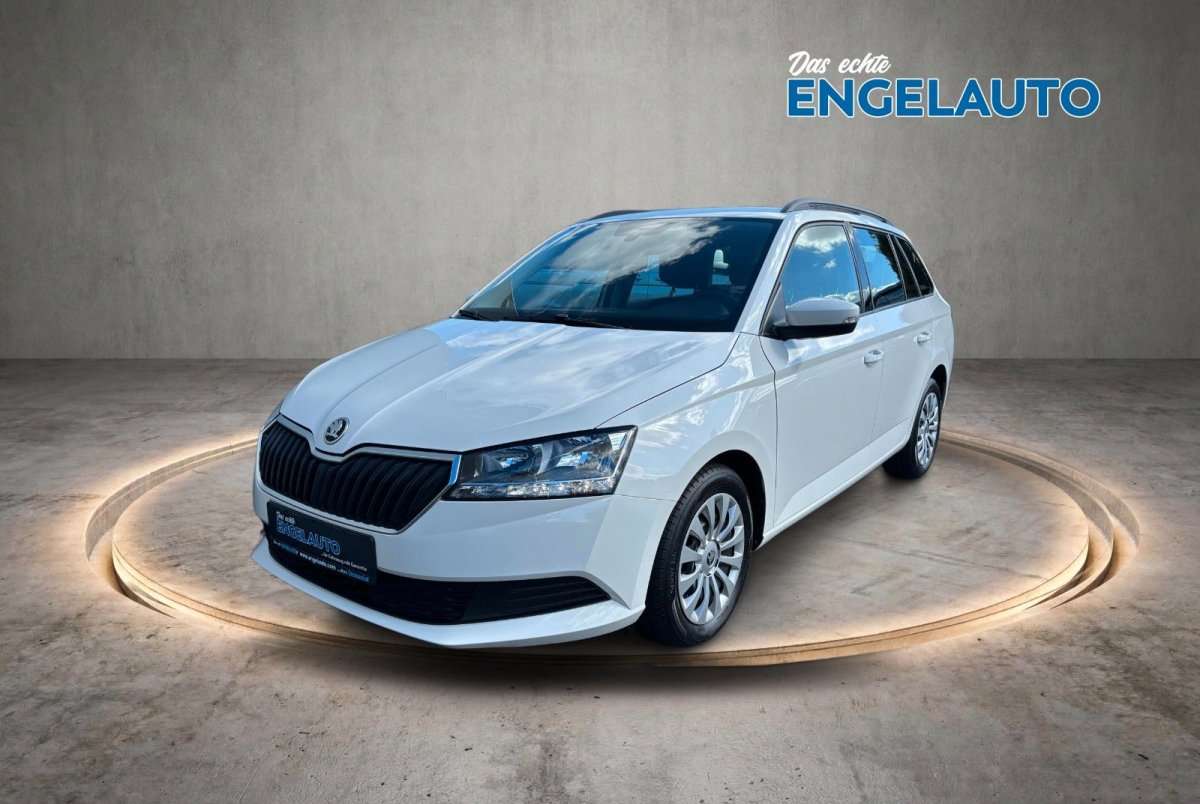 Fahrzeugbild eines Skoda Fabia