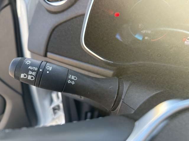 Fahrzeugbild eines Renault ZOE