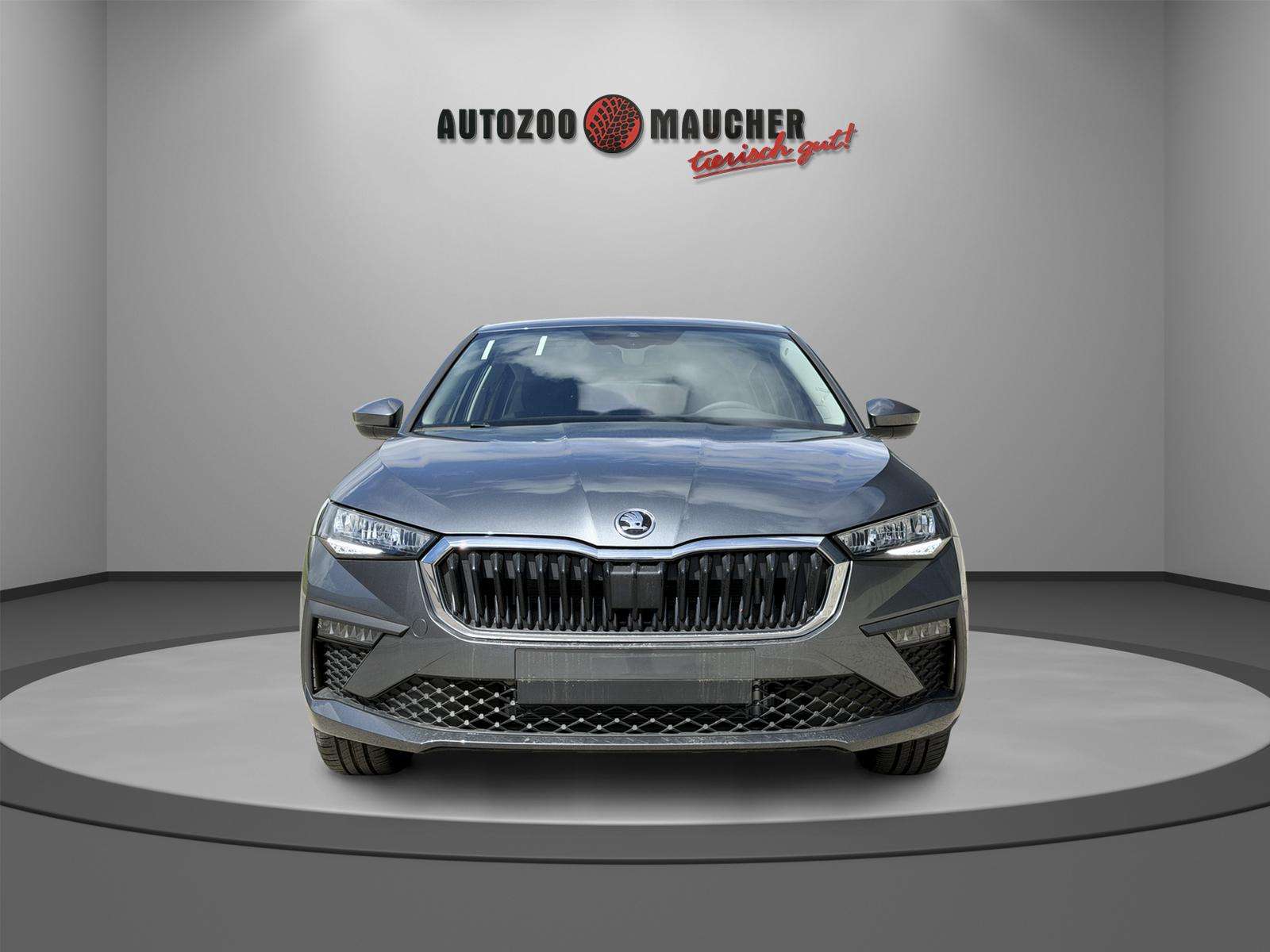 Fahrzeugbild eines Skoda Scala