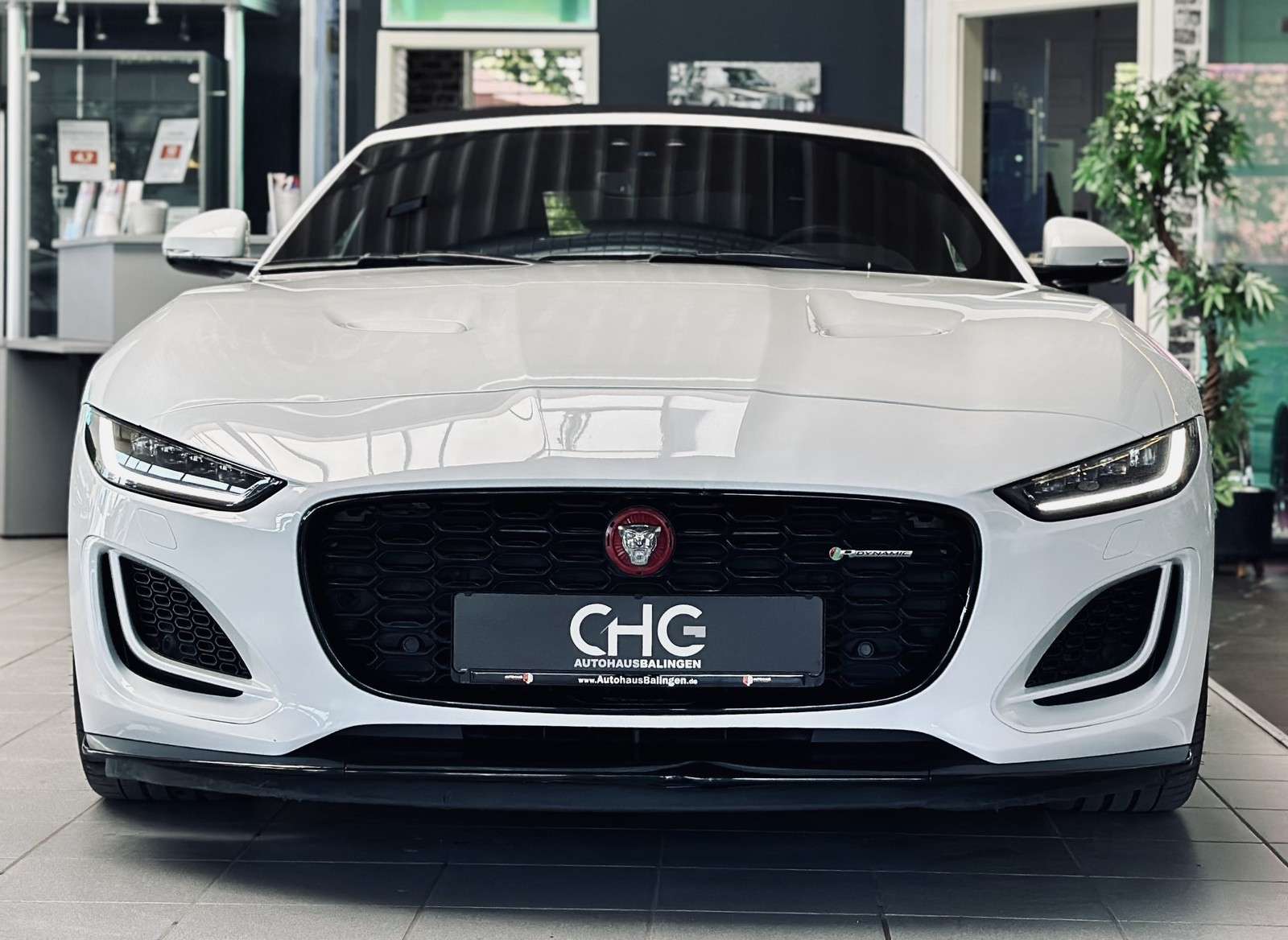 Fahrzeugbild eines Jaguar F-Type