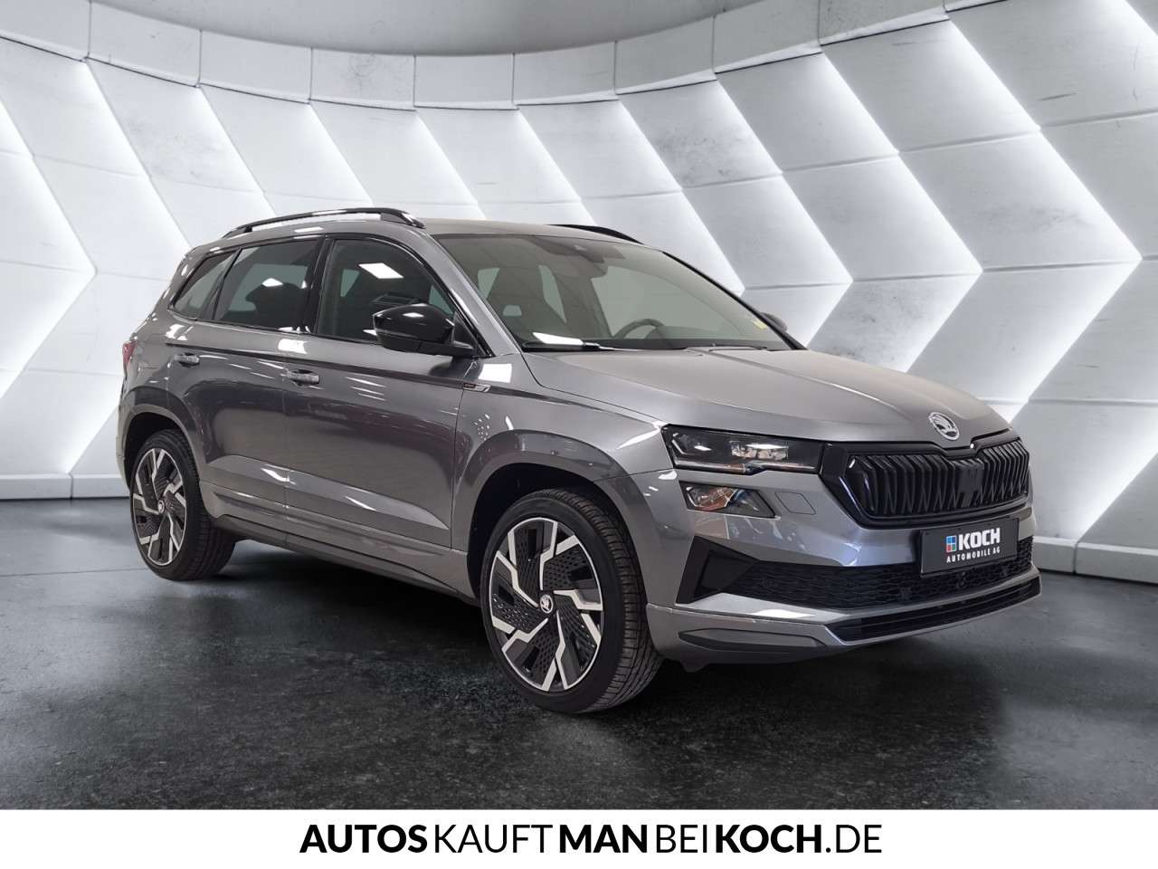 Fahrzeugbild eines Skoda Karoq
