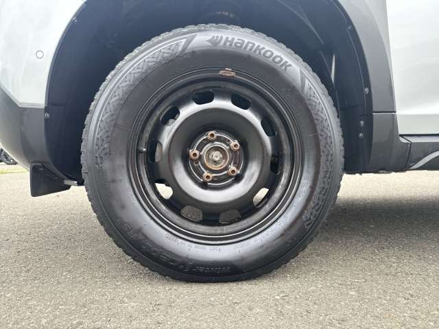 Fahrzeugbild eines Dacia Duster