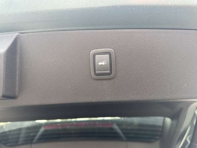Fahrzeugbild eines Dacia Bigster