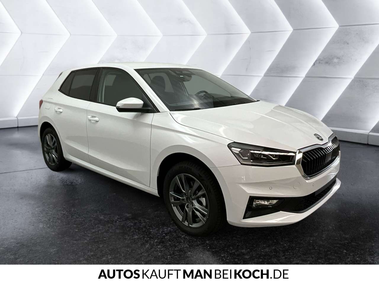 Fahrzeugbild eines Skoda Fabia