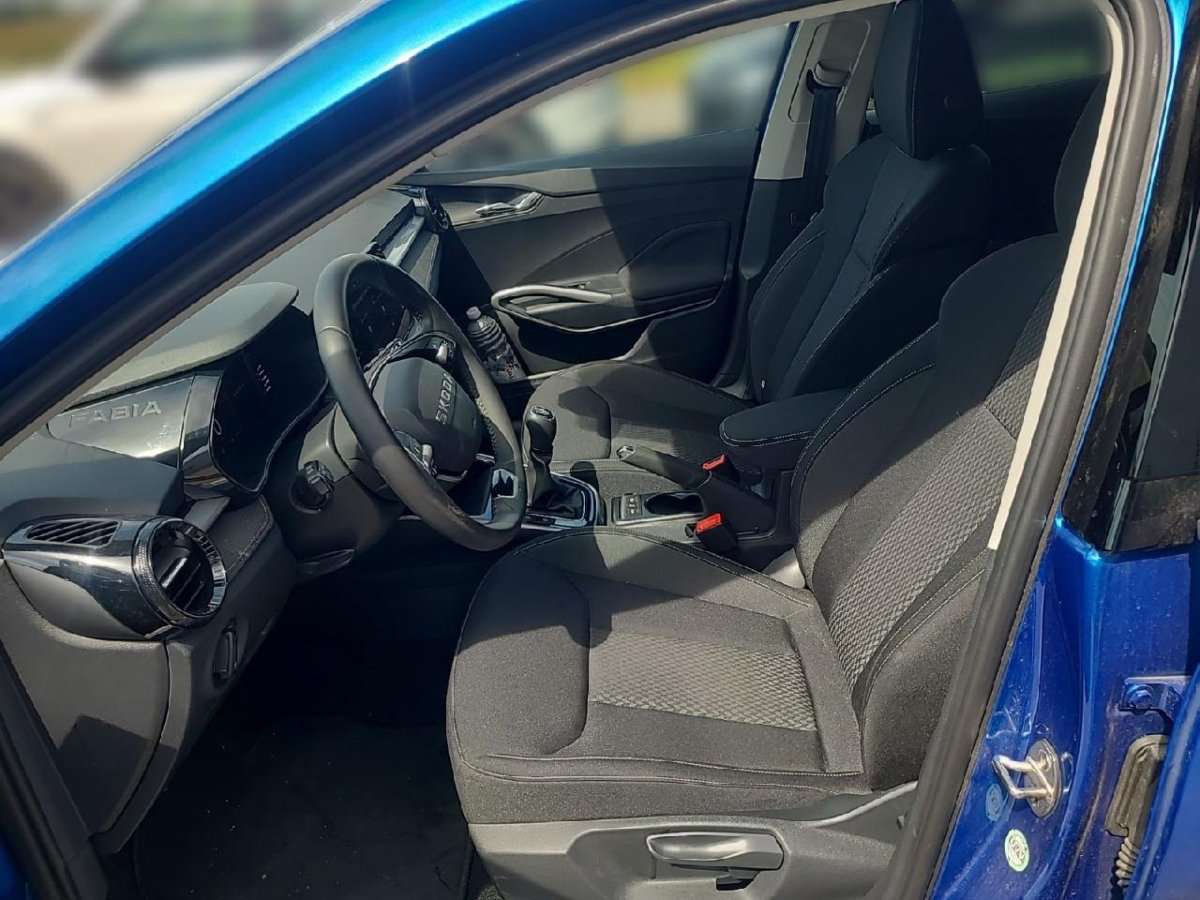 Fahrzeugbild eines Skoda Fabia