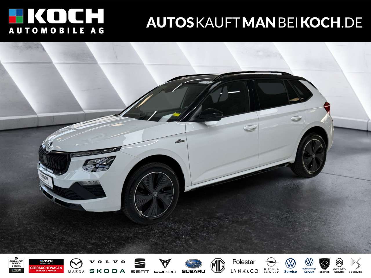 Fahrzeugbild eines Skoda Kamiq