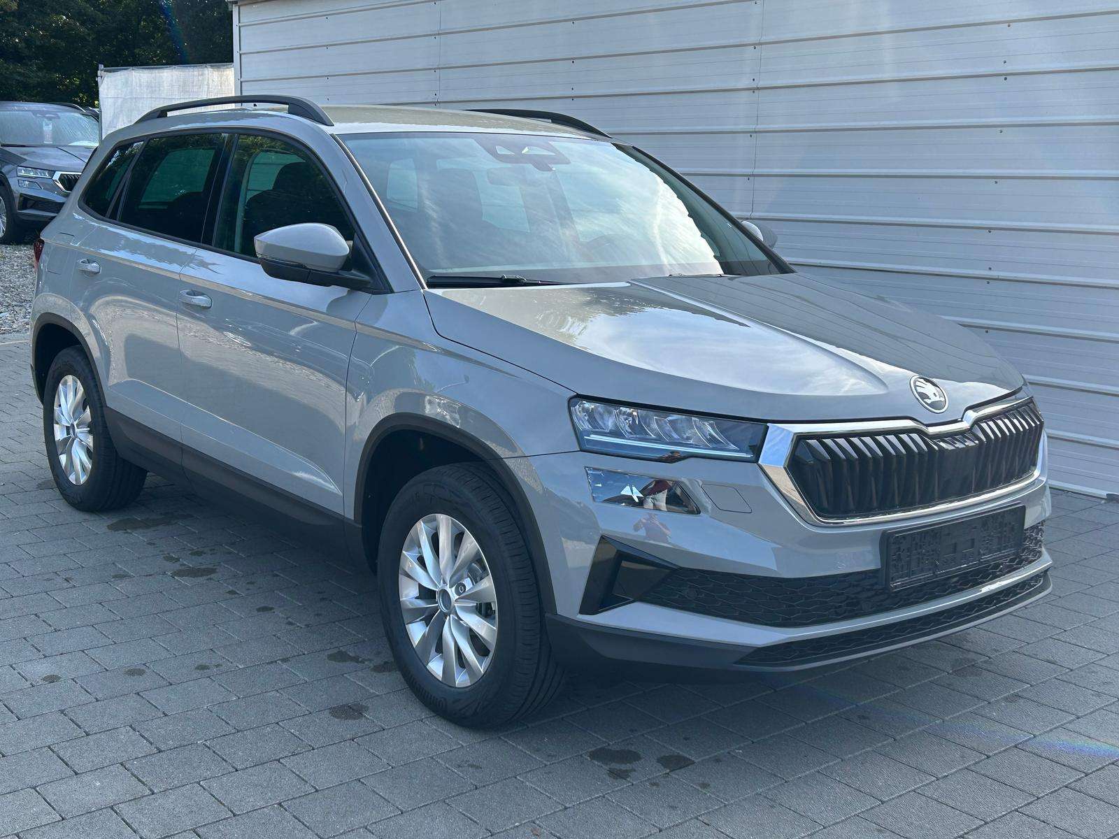 Fahrzeugbild eines Skoda Karoq